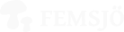 Logotyp för femsjo.com