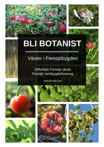 Försättsblad till dokumentet Bli botanist